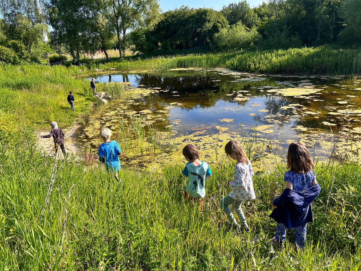 Fælles projekter på tværs