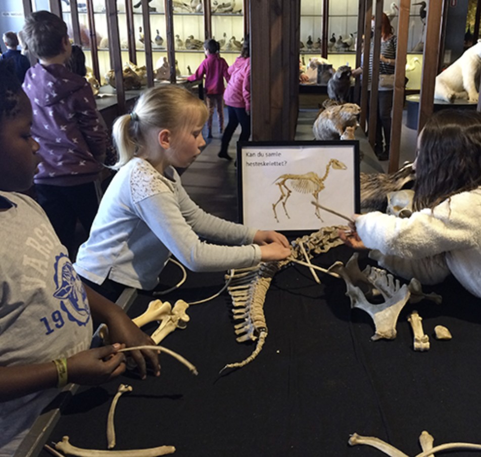 Undervisning på Halsnæs Lilleskole