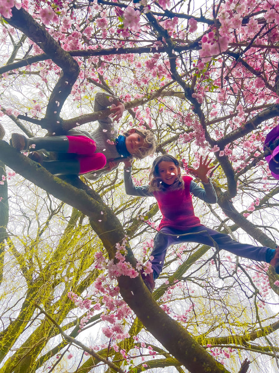 Tryg skolestart med SFO